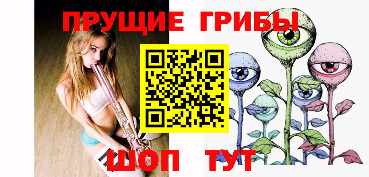 Галлюциногенные грибы Psilocybe Волоколамск