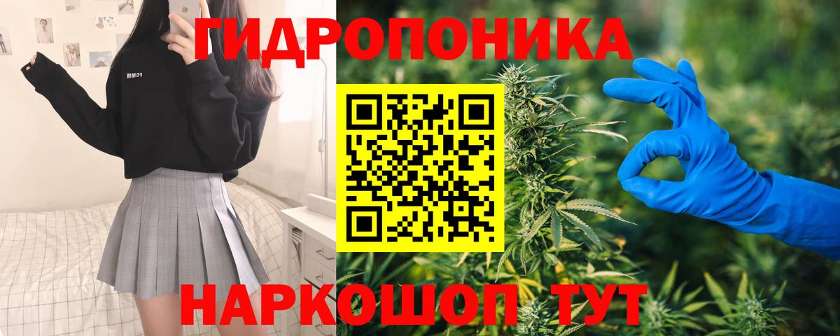 МАРИХУАНА семена Волоколамск